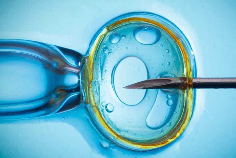 武汉不孕不育医院?武汉不孕不育医院前三名排名?